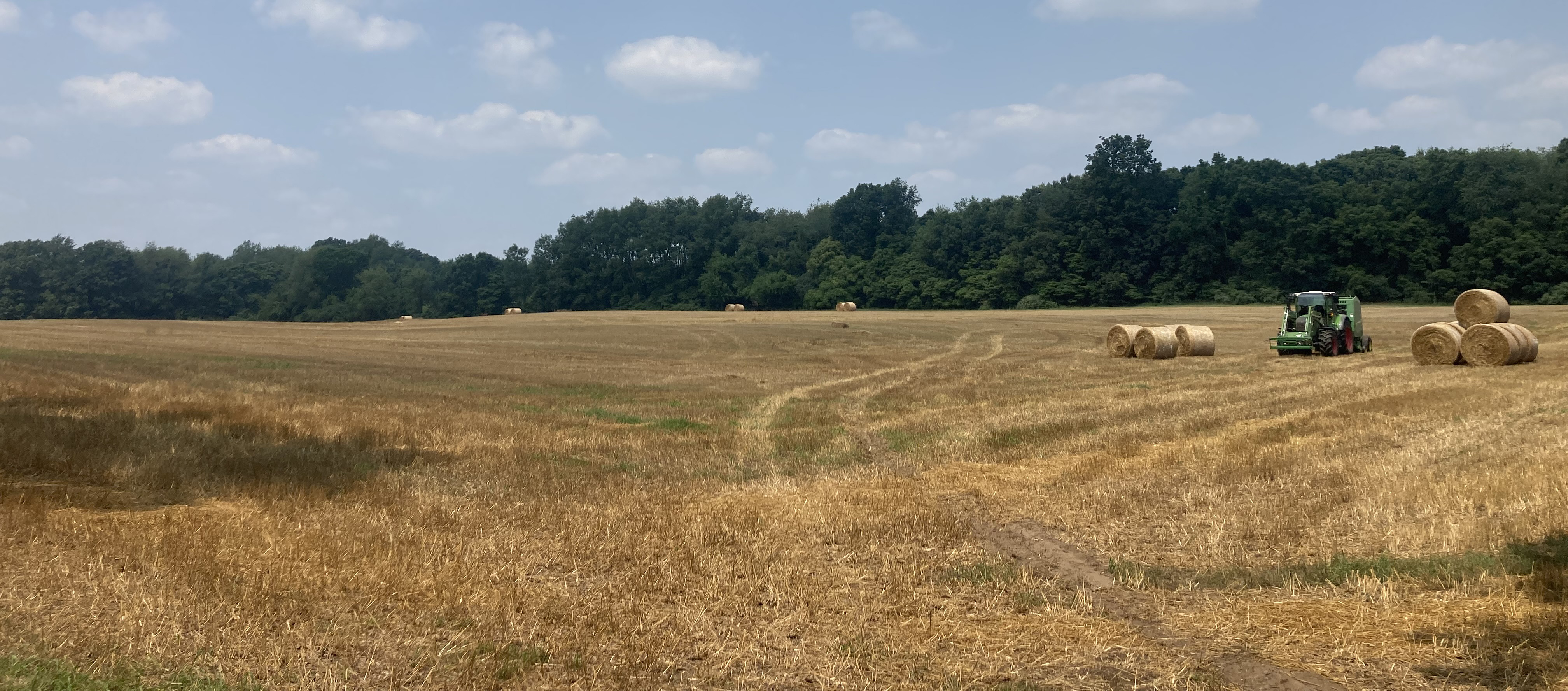 A field of wheat being harvested and straws being baled.